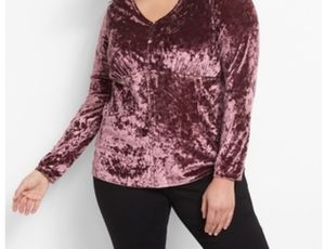 NWT Crushed Velvet Blouse